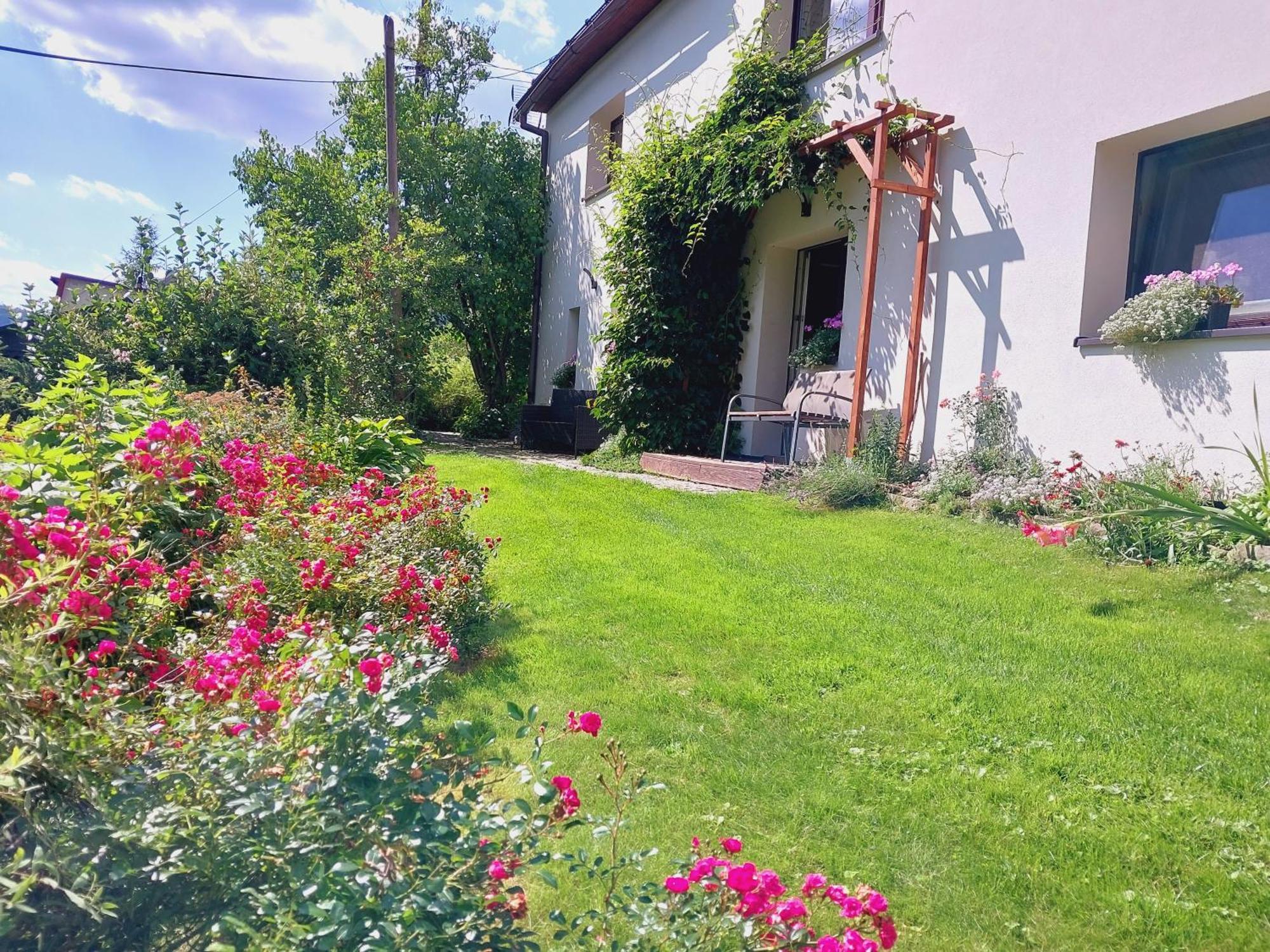 Agroturystyka Jelenia 비스와 객실 사진